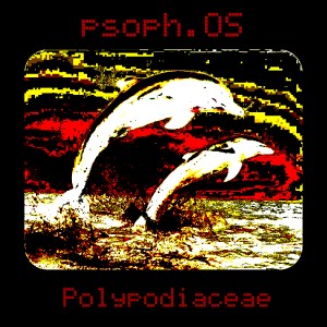 psoph-os-polypodiaceae-a